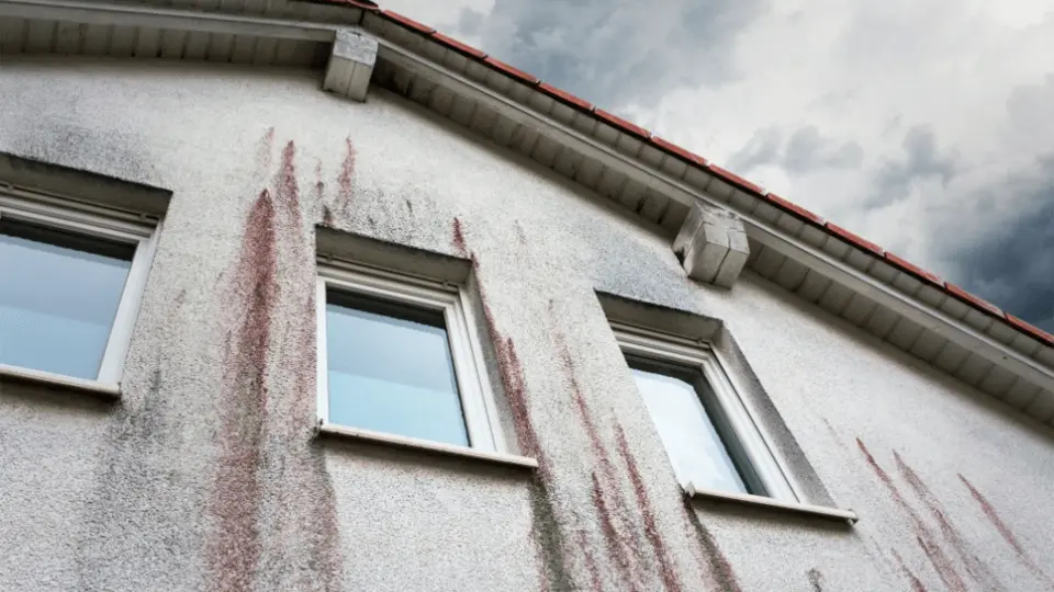 Ako zateplenie domu zabraňuje tvorbe plesní: suchý a zdravý domov začína pri izolácii Ako zateplenie domu zabraňuje tvorbe plesní: suchý a zdravý domov začína pri izolácii